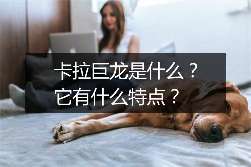 卡拉巨龙是什么?它有什么特点?