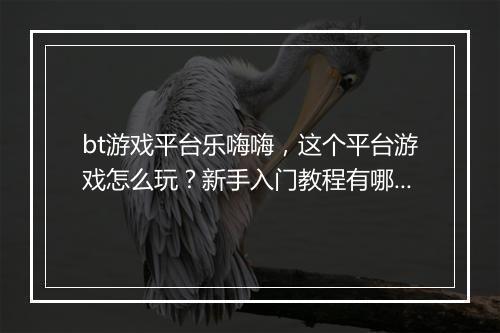 bt游戏平台乐嗨嗨，这个平台游戏怎么玩？新手入门教程有哪些？