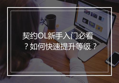 契约OL新手入门必看？如何快速提升等级？