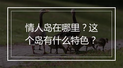 情人岛在哪里？这个岛有什么特色？