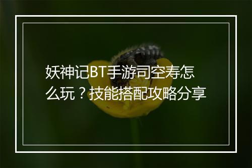 妖神记BT手游司空寿怎么玩？技能搭配攻略分享