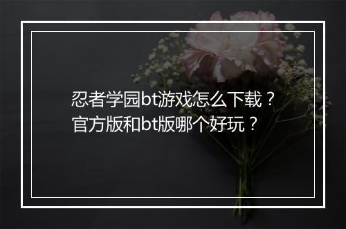 忍者学园bt游戏怎么下载？官方版和bt版哪个好玩？