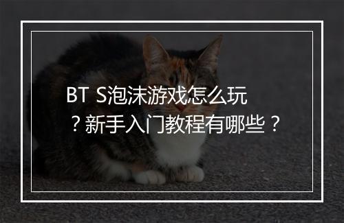 BT S泡沫游戏怎么玩？新手入门教程有哪些？