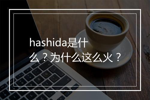 hashida是什么？为什么这么火？