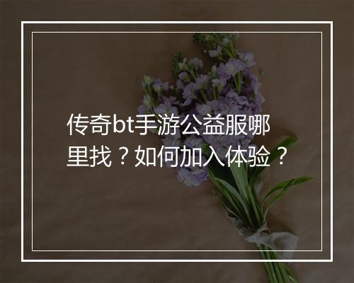 传奇bt手游公益服哪里找？如何加入体验？