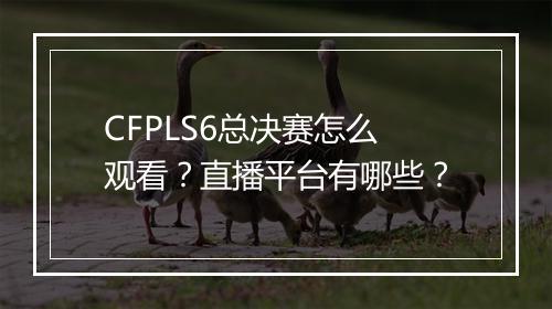CFPLS6总决赛怎么观看？直播平台有哪些？