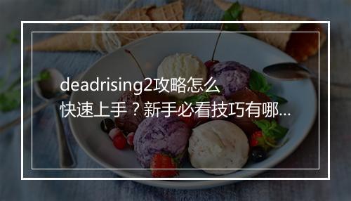 deadrising2攻略怎么快速上手？新手必看技巧有哪些？