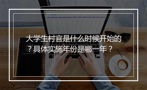 大学生村官是什么时候开始的？具体实施年份是哪一年？
