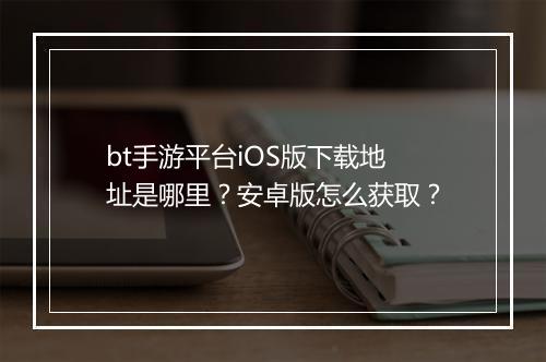bt手游平台iOS版下载地址是哪里？安卓版怎么获取？
