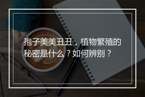 孢子美美丑丑,植物繁殖的秘密是什么?如何辨别?