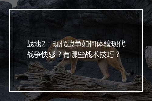 战地2：现代战争如何体验现代战争快感？有哪些战术技巧？