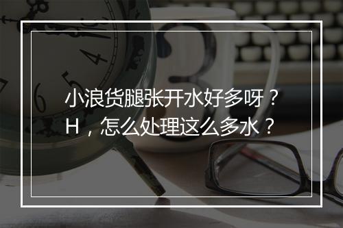 小浪货腿张开水好多呀？H，怎么处理这么多水？