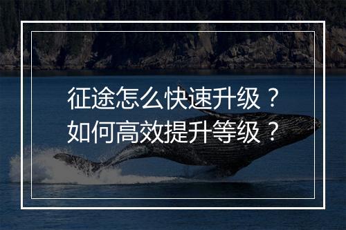 征途怎么快速升级？如何高效提升等级？