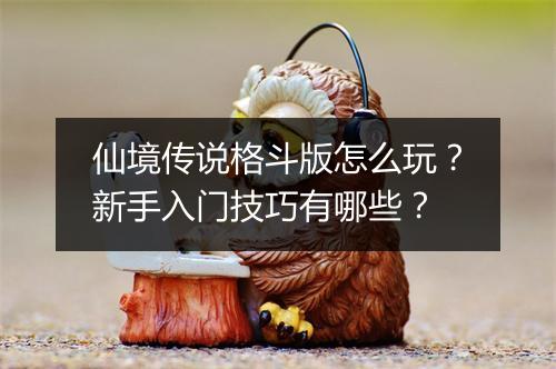 仙境传说格斗版怎么玩？新手入门技巧有哪些？