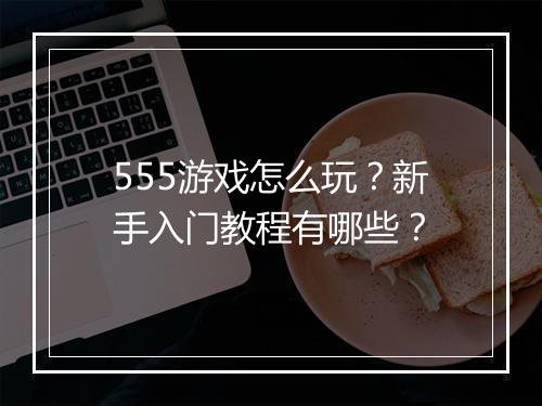 555游戏怎么玩？新手入门教程有哪些？