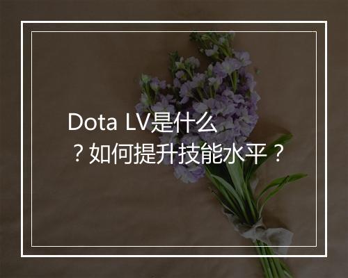 Dota LV是什么？如何提升技能水平？