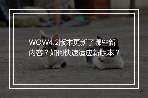WOW4.2版本更新了哪些新内容？如何快速适应新版本？