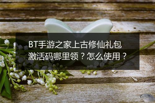 BT手游之家上古修仙礼包激活码哪里领？怎么使用？