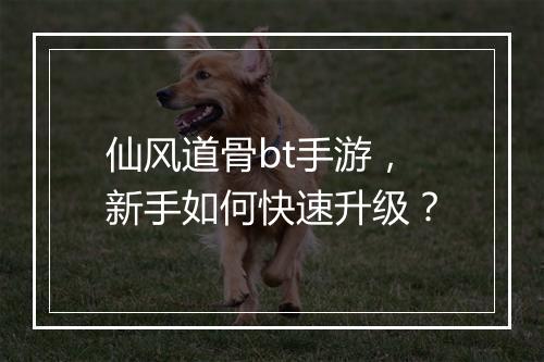 仙风道骨bt手游，新手如何快速升级？
