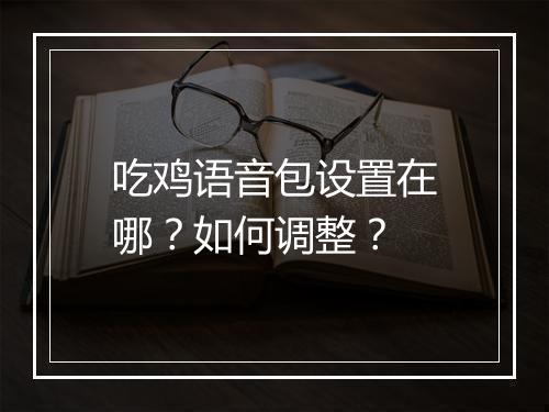 吃鸡语音包设置在哪?如何调整?