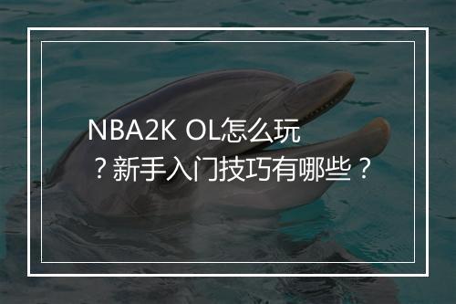 NBA2K OL怎么玩？新手入门技巧有哪些？