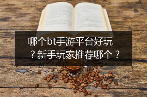 哪个bt手游平台好玩？新手玩家推荐哪个？