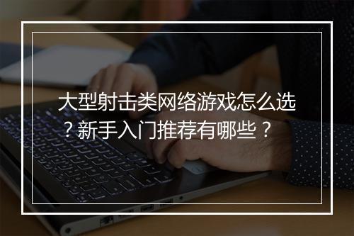 大型射击类网络游戏怎么选？新手入门推荐有哪些？
