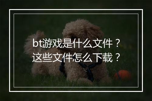 bt游戏是什么文件？这些文件怎么下载？