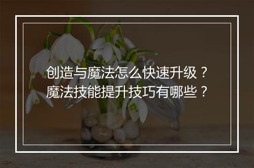 创造与魔法怎么快速升级？魔法技能提升技巧有哪些？