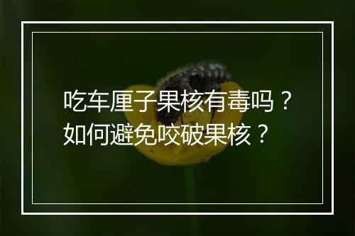 吃车厘子果核有毒吗？如何避免咬破果核？