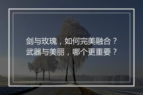 剑与玫瑰，如何完美融合？武器与美丽，哪个更重要？