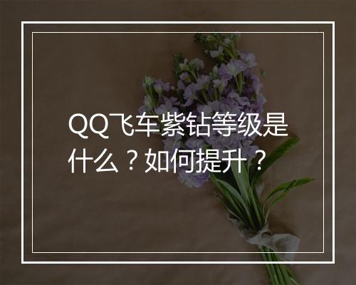 QQ飞车紫钻等级是什么？如何提升？