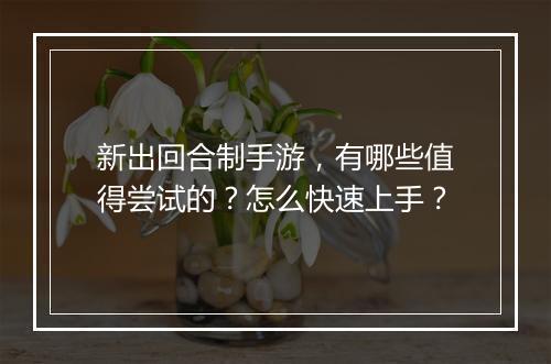 新出回合制手游,有哪些值得尝试的?怎么快速上手?