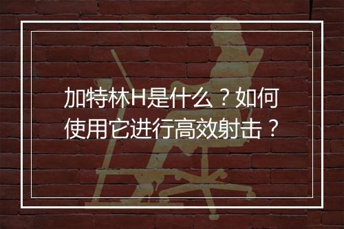 加特林H是什么？如何使用它进行高效射击？