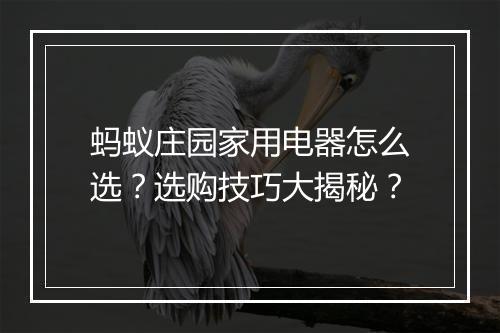 蚂蚁庄园家用电器怎么选?选购技巧大揭秘?