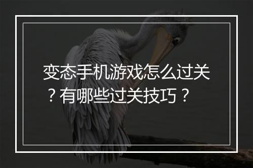 变态手机游戏怎么过关？有哪些过关技巧？
