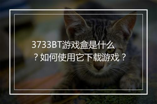 3733BT游戏盒是什么？如何使用它下载游戏？