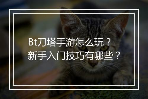 Bt刀塔手游怎么玩？新手入门技巧有哪些？