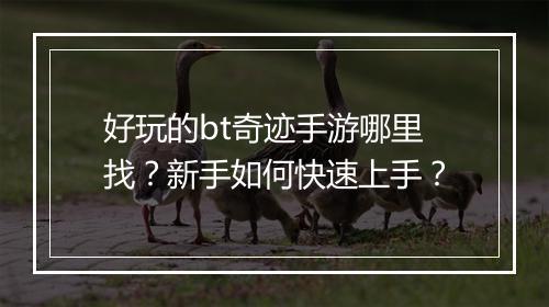好玩的bt奇迹手游哪里找？新手如何快速上手？