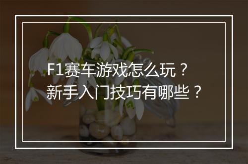 F1赛车游戏怎么玩？新手入门技巧有哪些？