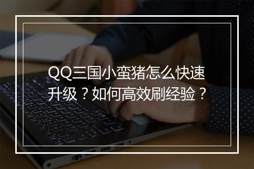 QQ三国小蛮猪怎么快速升级？如何高效刷经验？