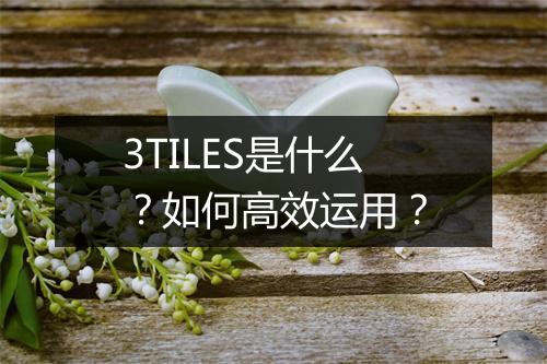 3TILES是什么?如何高效运用?
