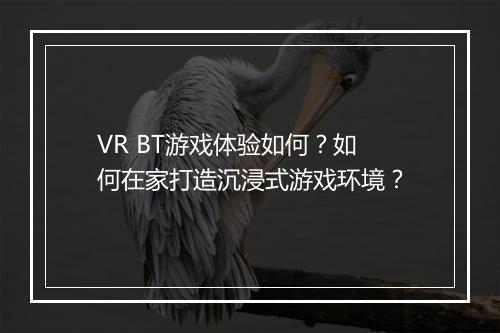 VR BT游戏体验如何？如何在家打造沉浸式游戏环境？