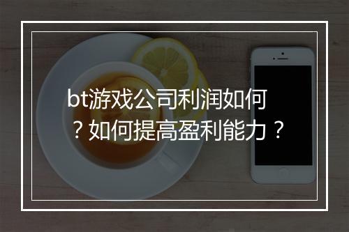 bt游戏公司利润如何?如何提高盈利能力?
