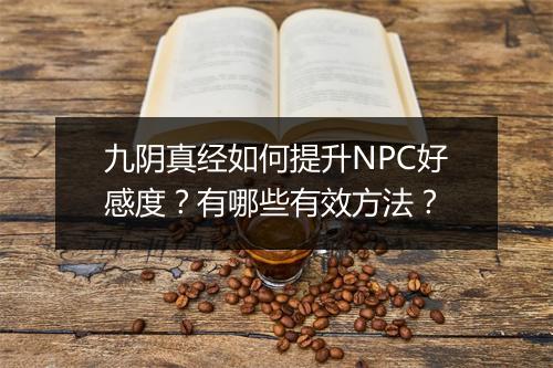 九阴真经如何提升NPC好感度？有哪些有效方法？