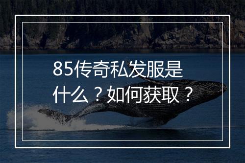 85传奇私发服是什么?如何获取?
