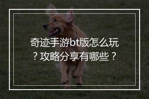 奇迹手游bt版怎么玩？攻略分享有哪些？