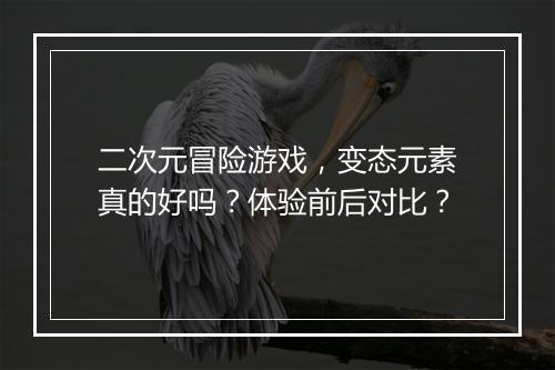 二次元冒险游戏,变态元素真的好吗?体验前后对比?