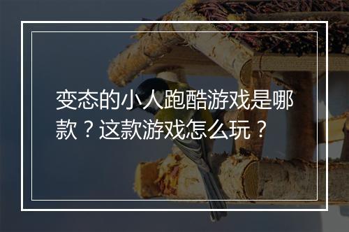 变态的小人跑酷游戏是哪款？这款游戏怎么玩？