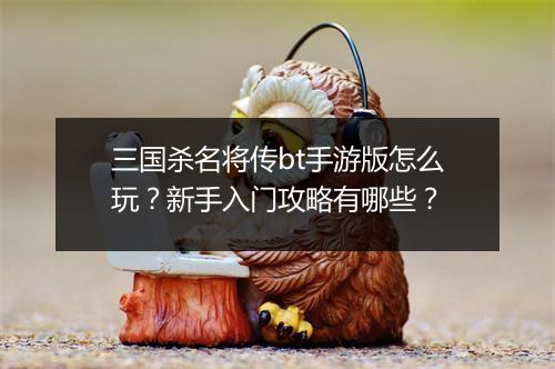 三国杀名将传bt手游版怎么玩？新手入门攻略有哪些？